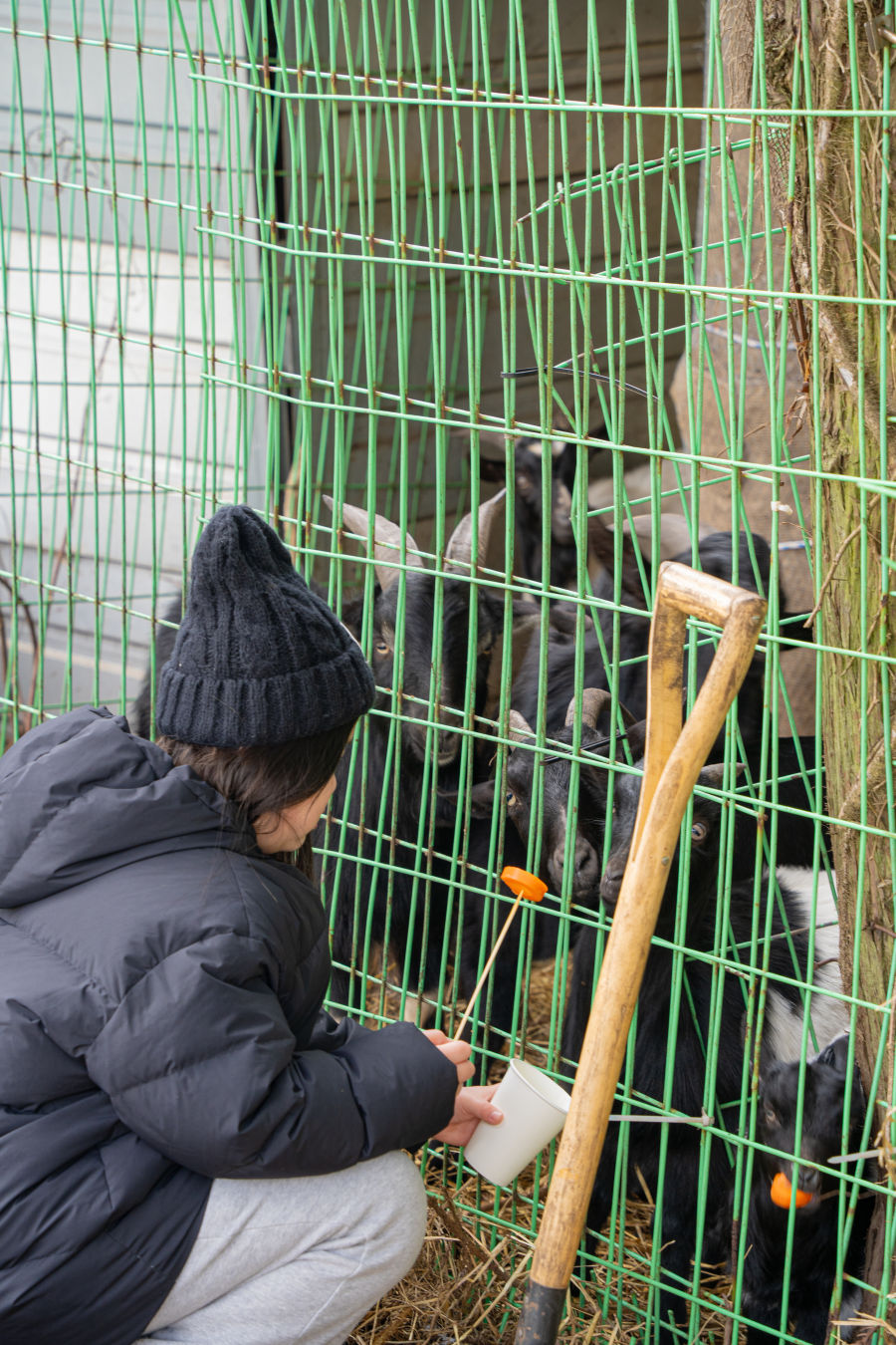 비밀의 숲 동물
