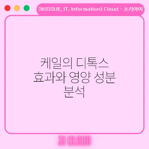케일의 디톡스 효과와 영양 성분 분석