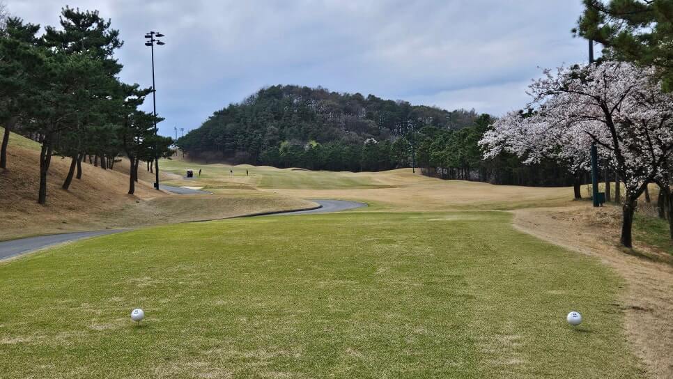 골프장 경험담 청주 세레니티cc 단순한 골프장이 아니라&amp;#44; 자연과 설계&amp;#44; 건축이 어우러진 공간 미학의 산물 완벽에 가까운 골프장