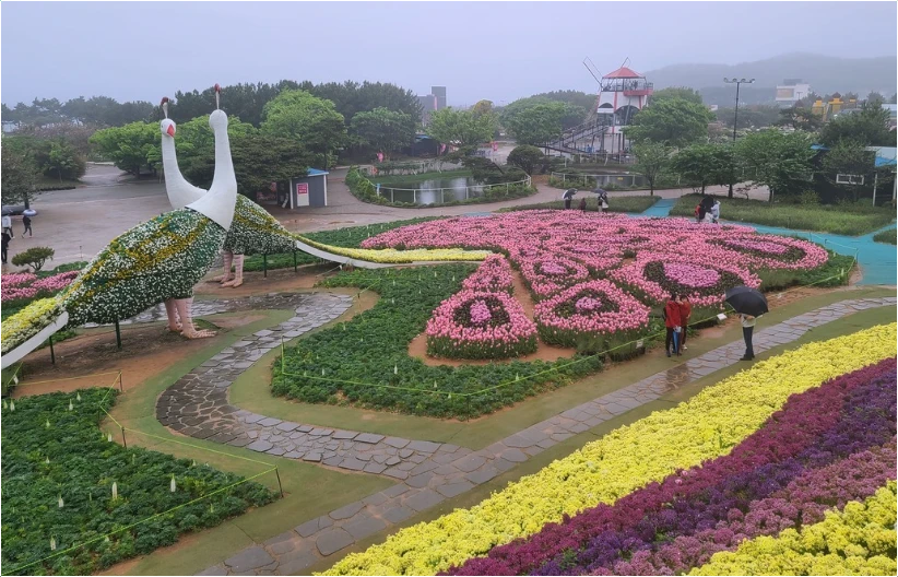 2025-태안-세계-튤립-꽃박람회