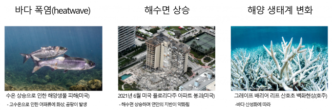 해양생태계변화