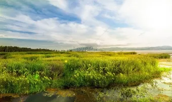 풍경 사진 잘 찍는 방법 꿀팁_7