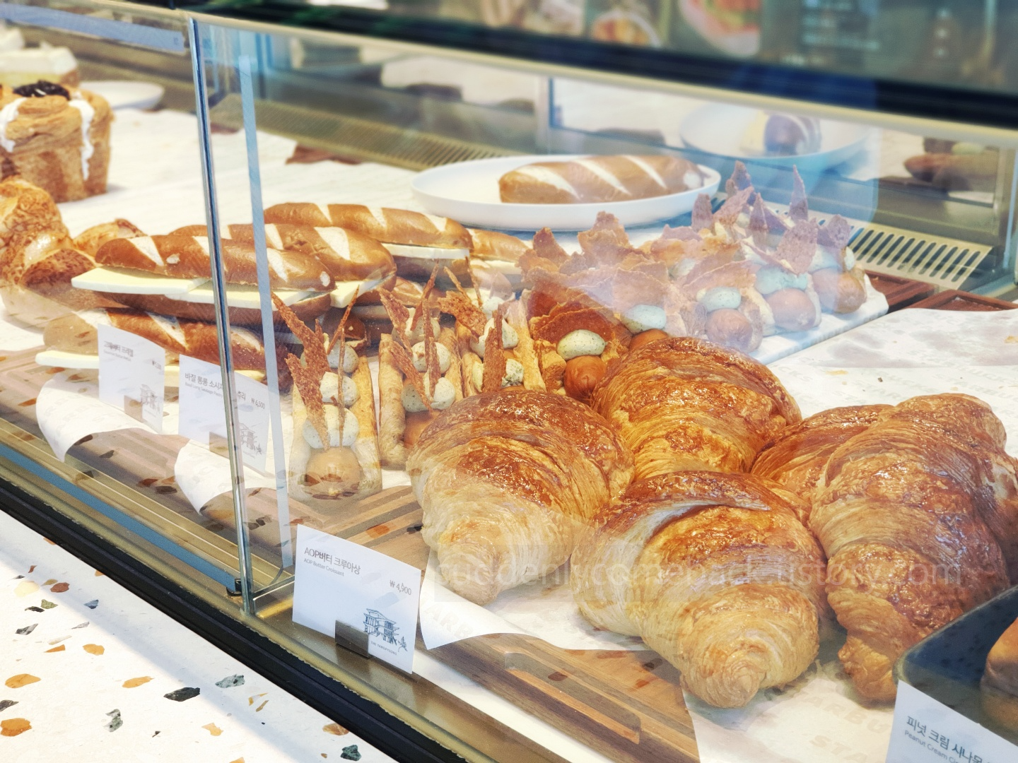 크루아상 등 빵