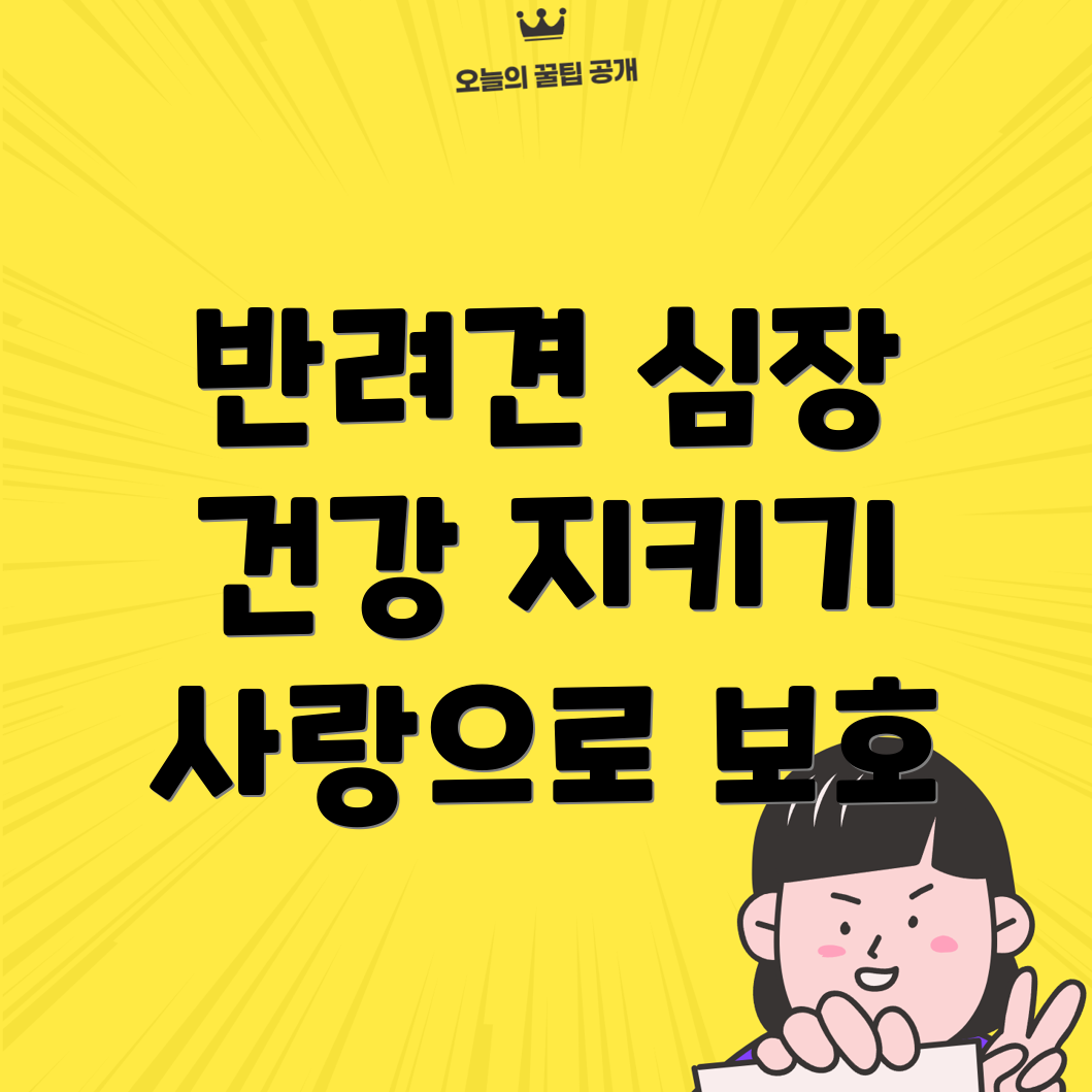 반려견 심장 초음파 검사