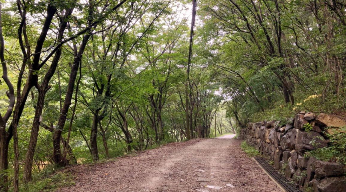 국립공원 트레킹 코스