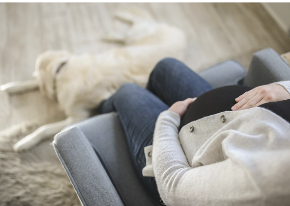 배우자 출산 휴가