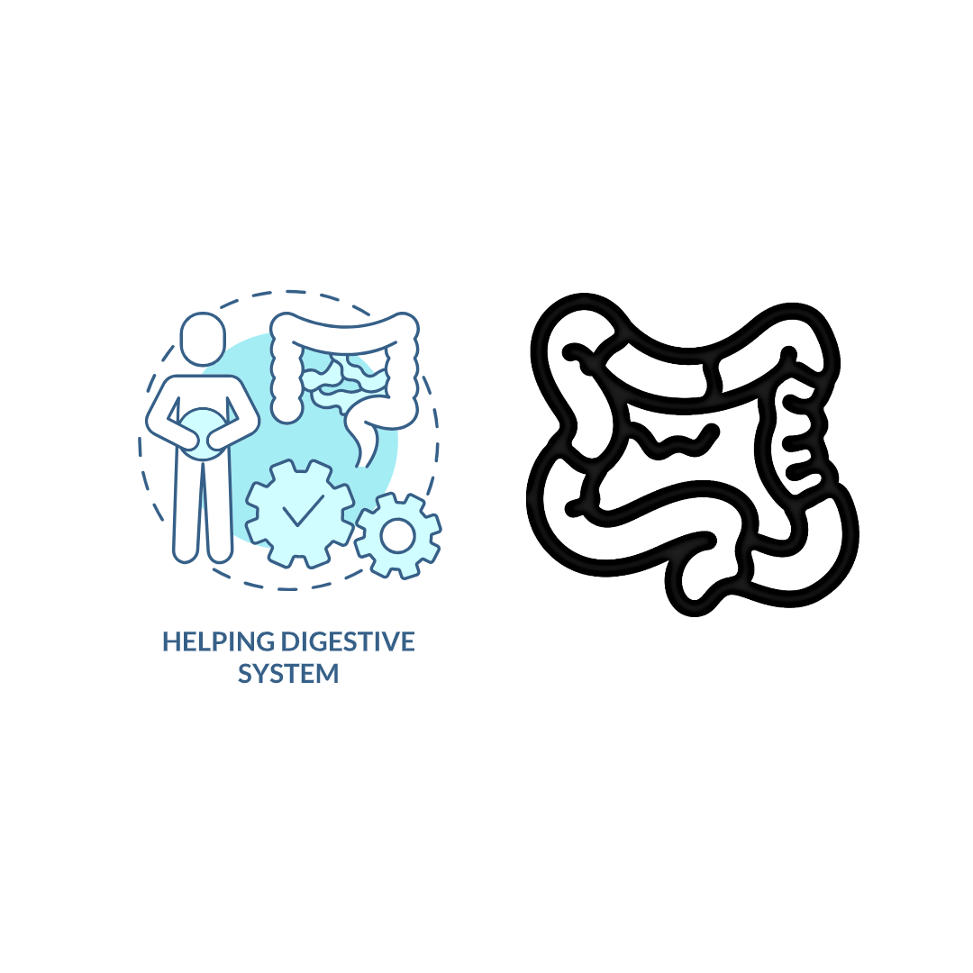 애사비효능_ 소화개선