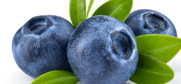 안토시아닌&amp;#44; 눈 건강&amp;#44; 항산화 효과까지 담은 블루베리 총 정리 (2025 최신)