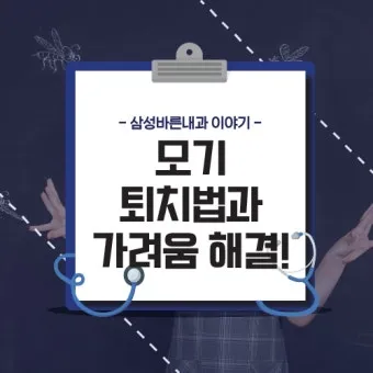 모기 박사님 추천 모기 퇴치법과 여름철 모기 없는 집 만들기 실전 전략_12