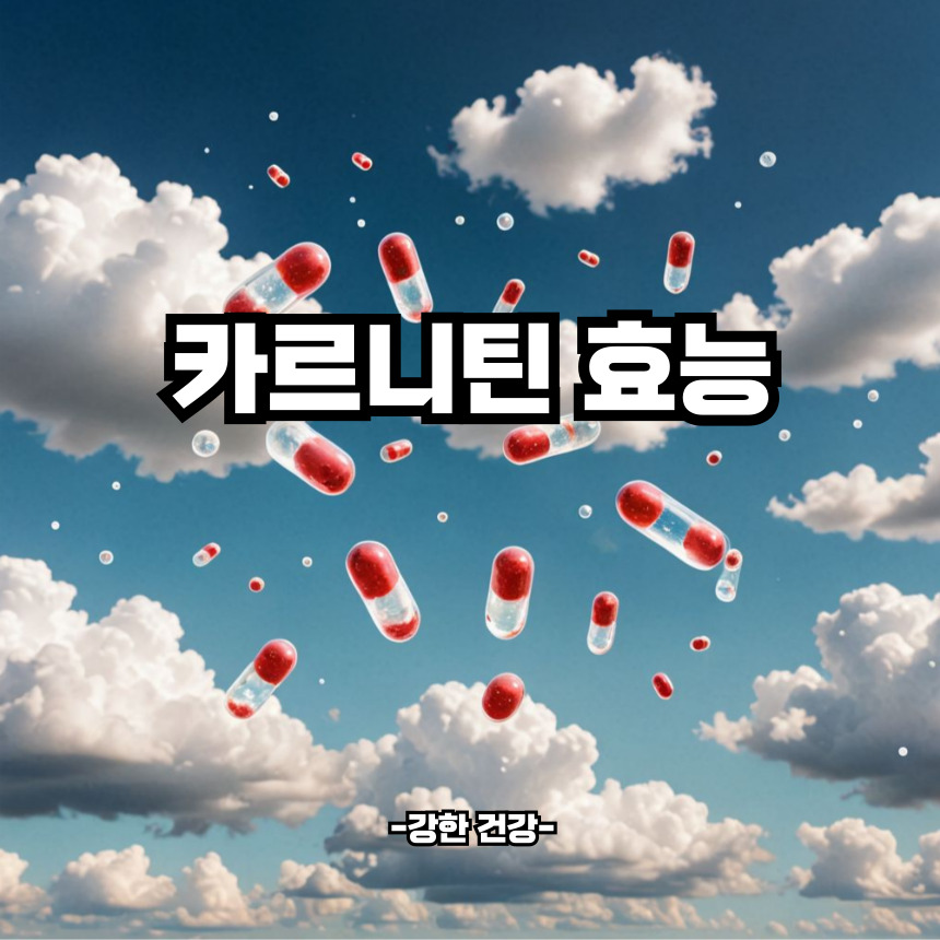 카르니틴 효능