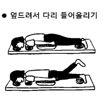 골다공증 검사 비용