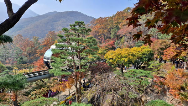 단풍명소_화담숲_모노레일