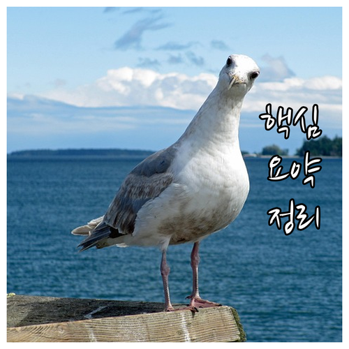 광진구 대형폐기물, 인터넷으로 접수 ..