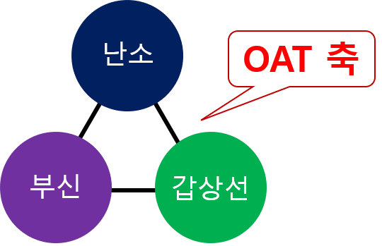 탈모두피