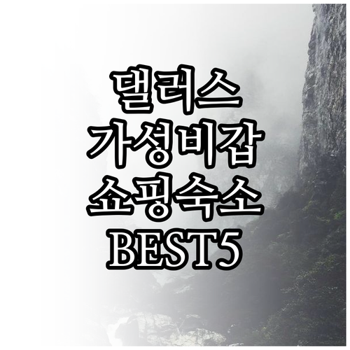 텍사스 댈러스 여행 쇼핑하기 좋은 가..