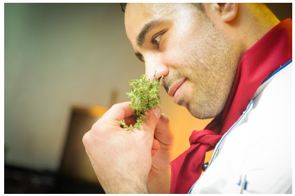 냄새 다이어트: 특정 향기만 맡아도 식욕이 사라진다?