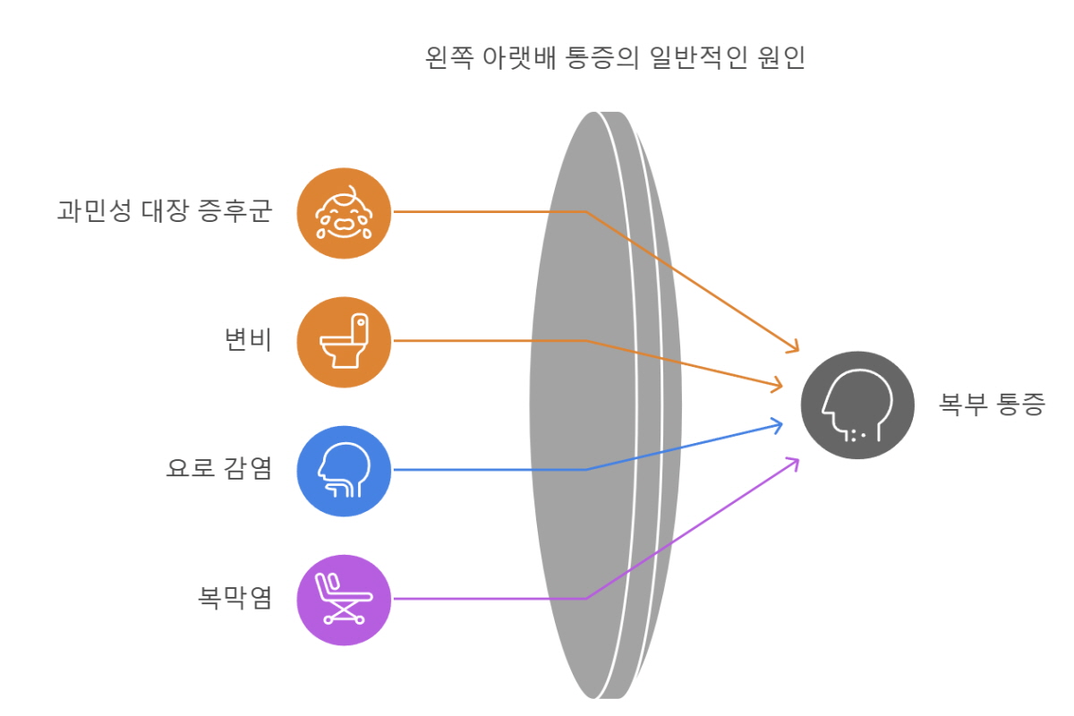왼쪽 아랫배 통증