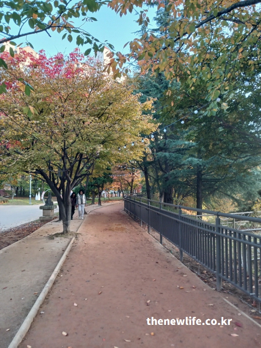 겨울철 장자호수공원의 황톳(토)길 산책로를 따라 이어지는 실외 맨발 걷기 장소