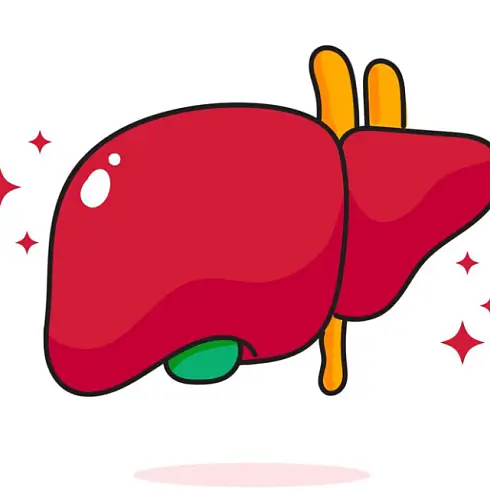 간암과 치료방법들