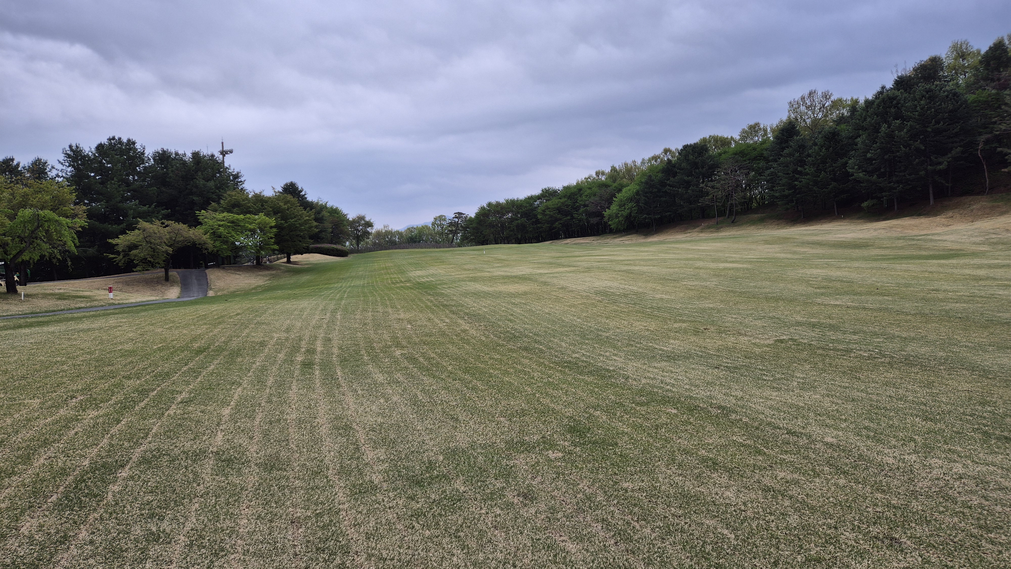 시그너스cc 코튼-라미 코스 사진 및 공략 정보