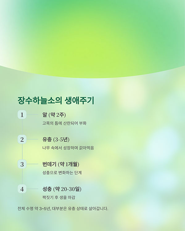 생애주기와 전체 수명