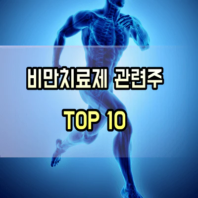 비만치료제-관련주