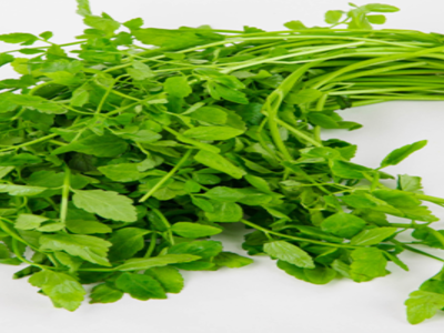 봄나물_미나리2