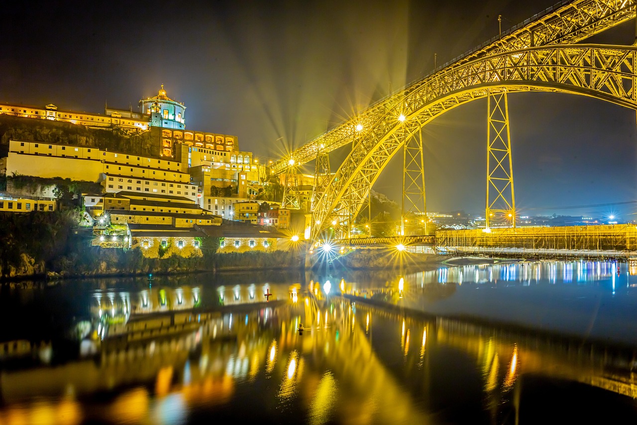 빛축제 관련 사진