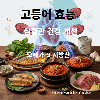 고등어 효능 중 심혈관 건강 개선을 설명하는 이미지로, 고등어 요리와 심장 일러스트가 함께 표현된 사진