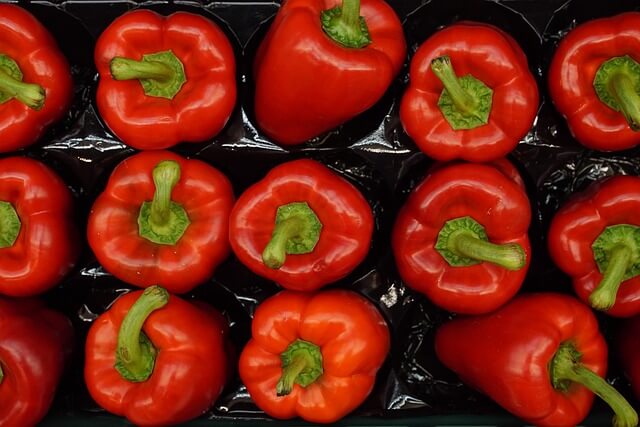 한우 50% 할인 언제까지? 롯데레드페스티벌 실시간 행사 일정 확인!