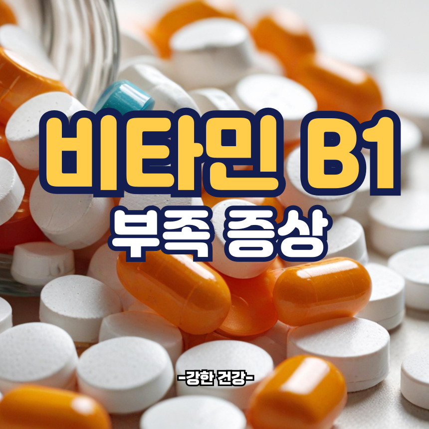 비타민 b1 부족증상