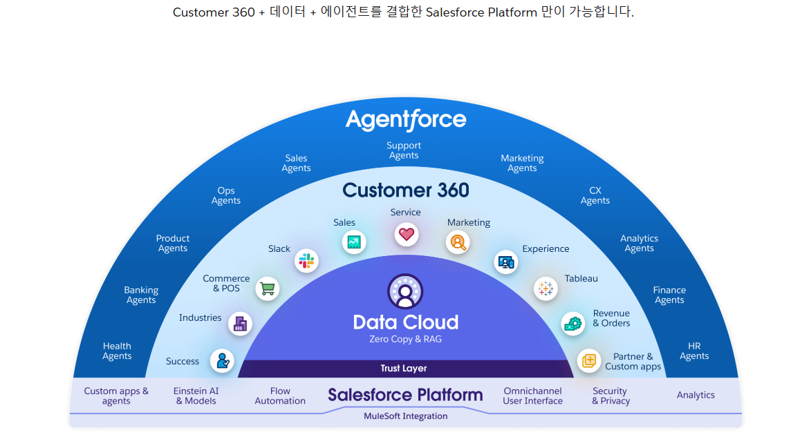 세일즈포스 개요