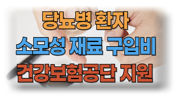 당뇨병 환자를 위한 소모성 재료 구입비 지원 제도