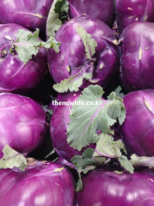 콜라비 효능 피로 해소 비타민 C