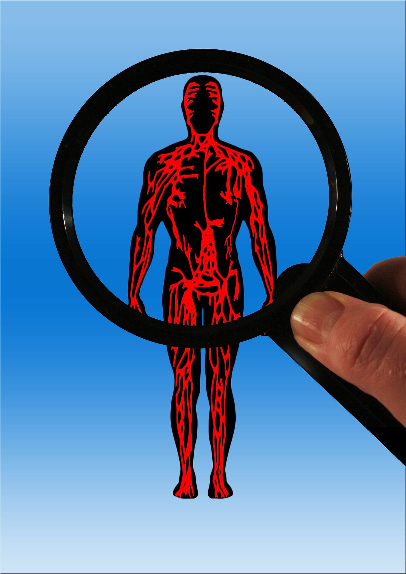 부종에 좋은 음식 TOP 10 | 붓기 빼는 최고의 식단 공개