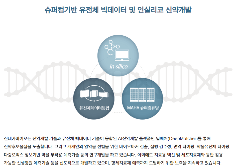 기업 정보-2