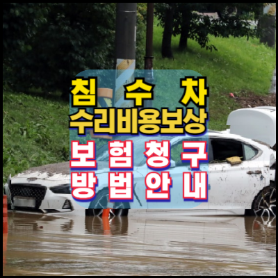 침수차-수리비용보상-보험청구-확인방법-자동차보험-가입조회-내차보험찾기
