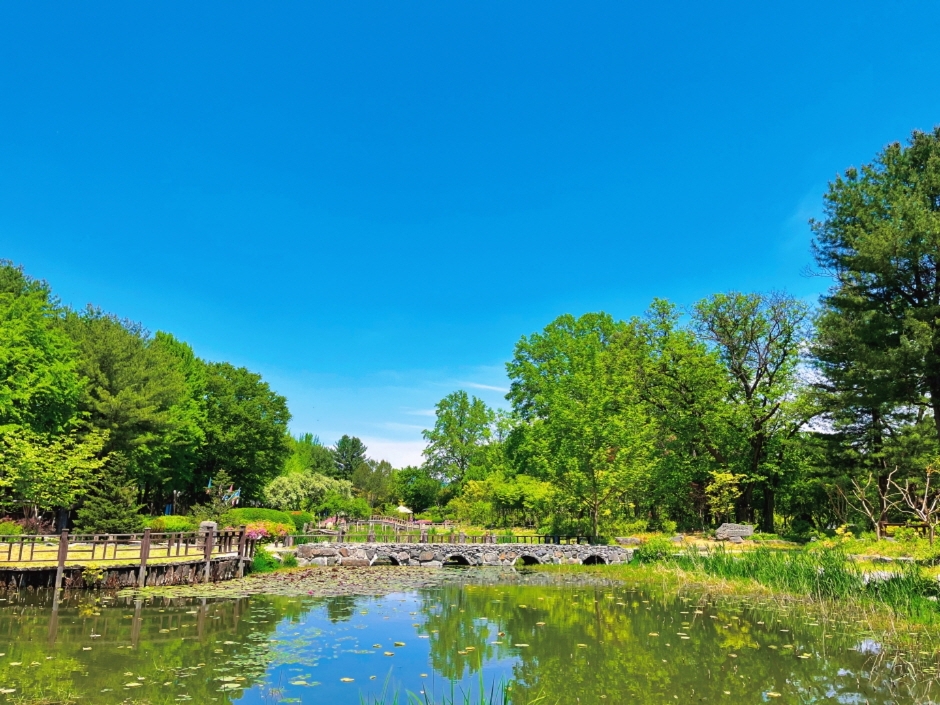 [강원도여행지 추천] 여행코스 갈만한곳 - 남이섬