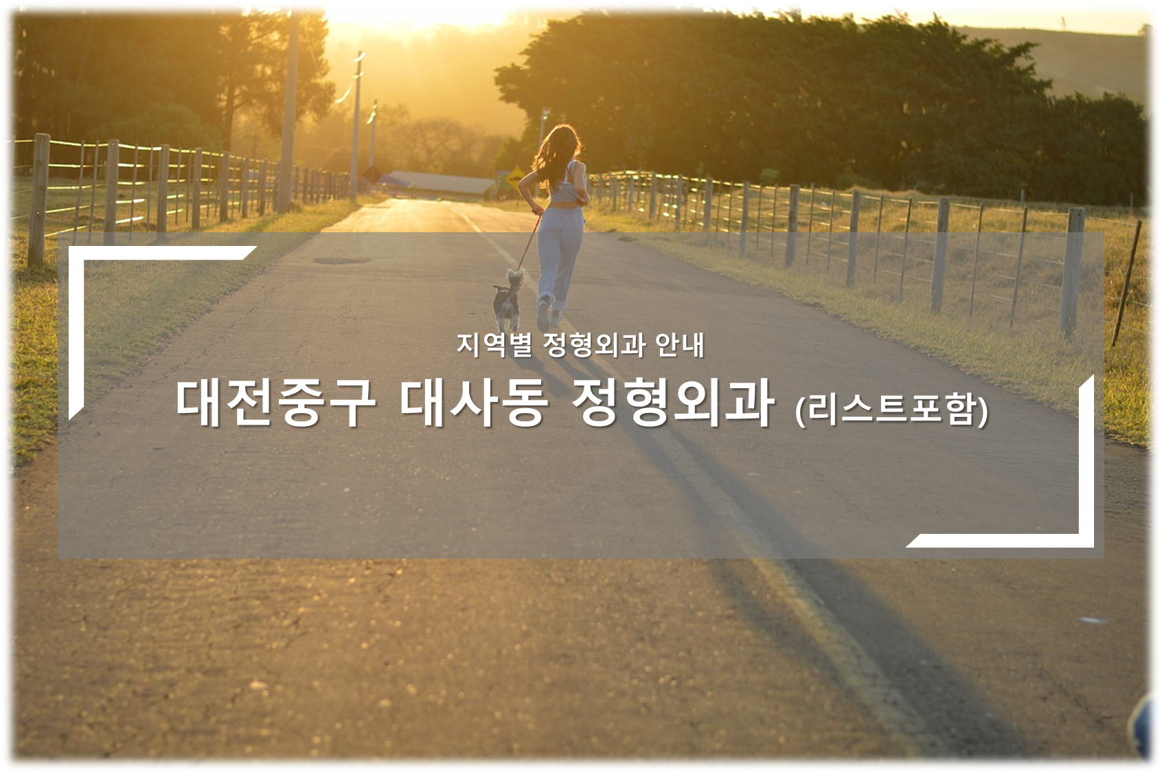 대전중구 대사동 정형외과의원 안내