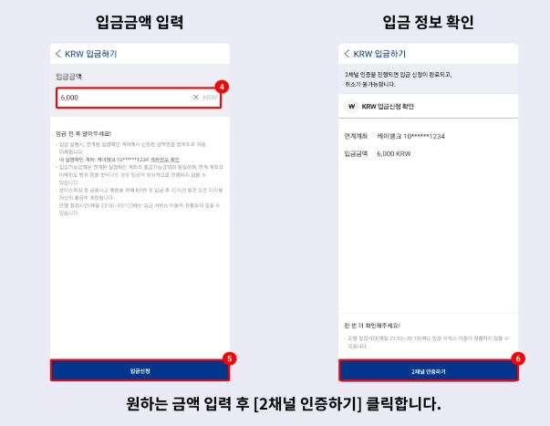 입금1