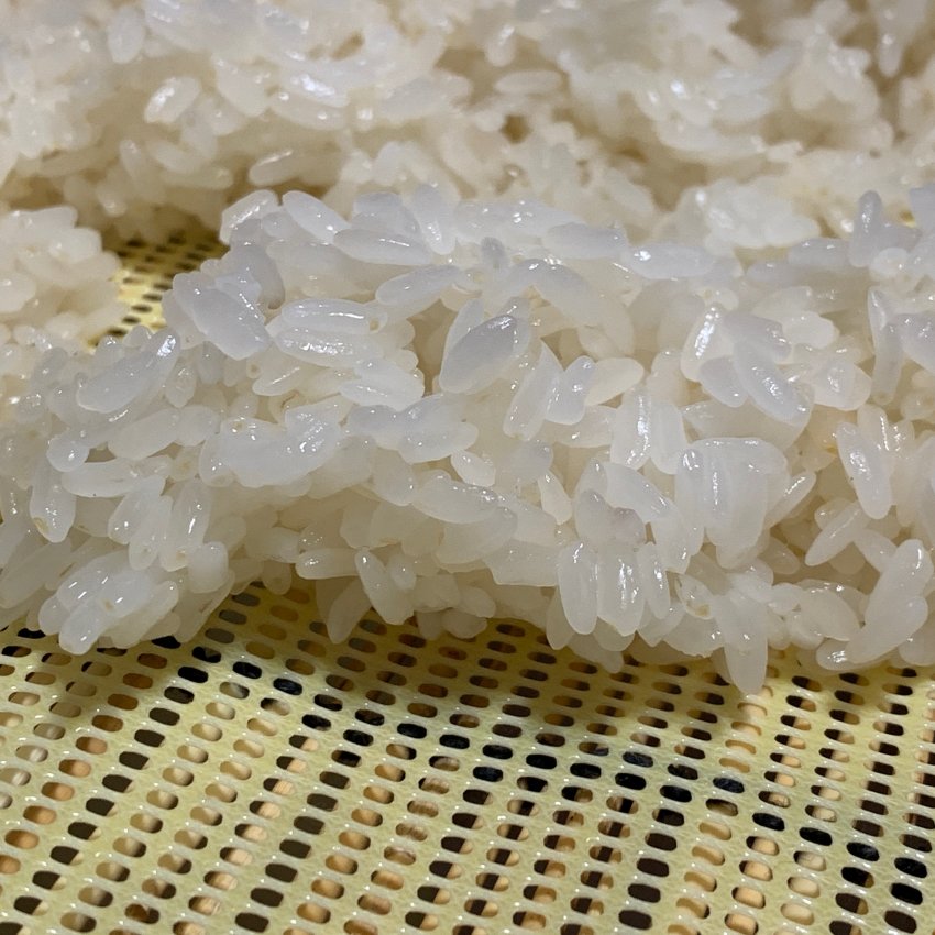 Godubap(steamed rice)