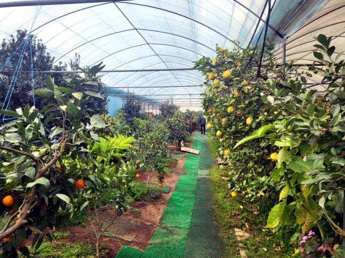 의왕 가볼만한곳 베스트10