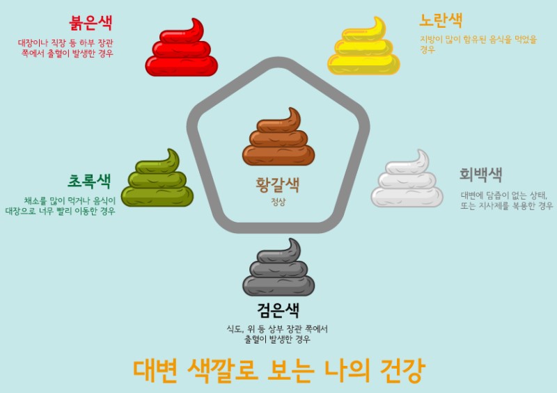 대변 색깔로 살펴보는 건강상태 5가지 녹색(초록색), 검은색, 회색변, 흰색변
