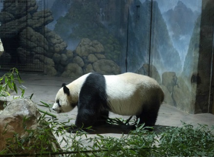 어린이날가볼만한곳best10