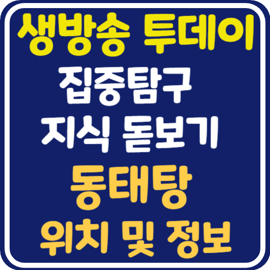 생방송 투데이 동태탕 맛집 용인 위치 및 정보 : 집중 탐구 지식 돋보기