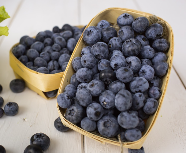 레스베라트롤_음식