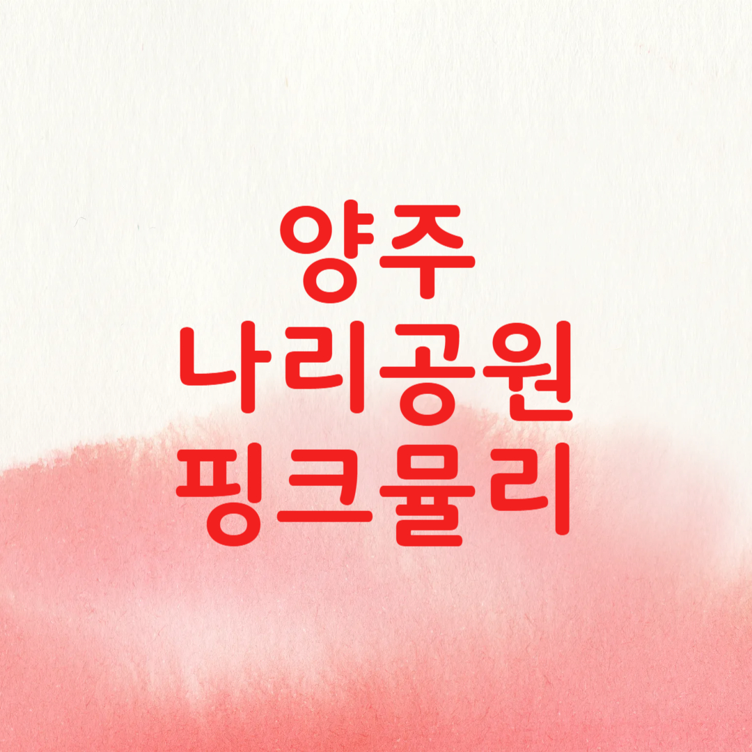 양주 나리공원 핑크뮬리