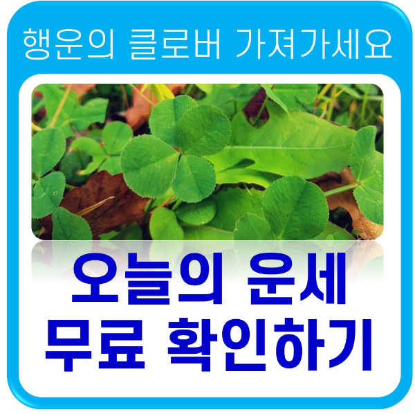 오늘의 운세 무료 보기