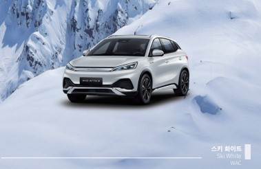 BYD 아토3 보조금 가격