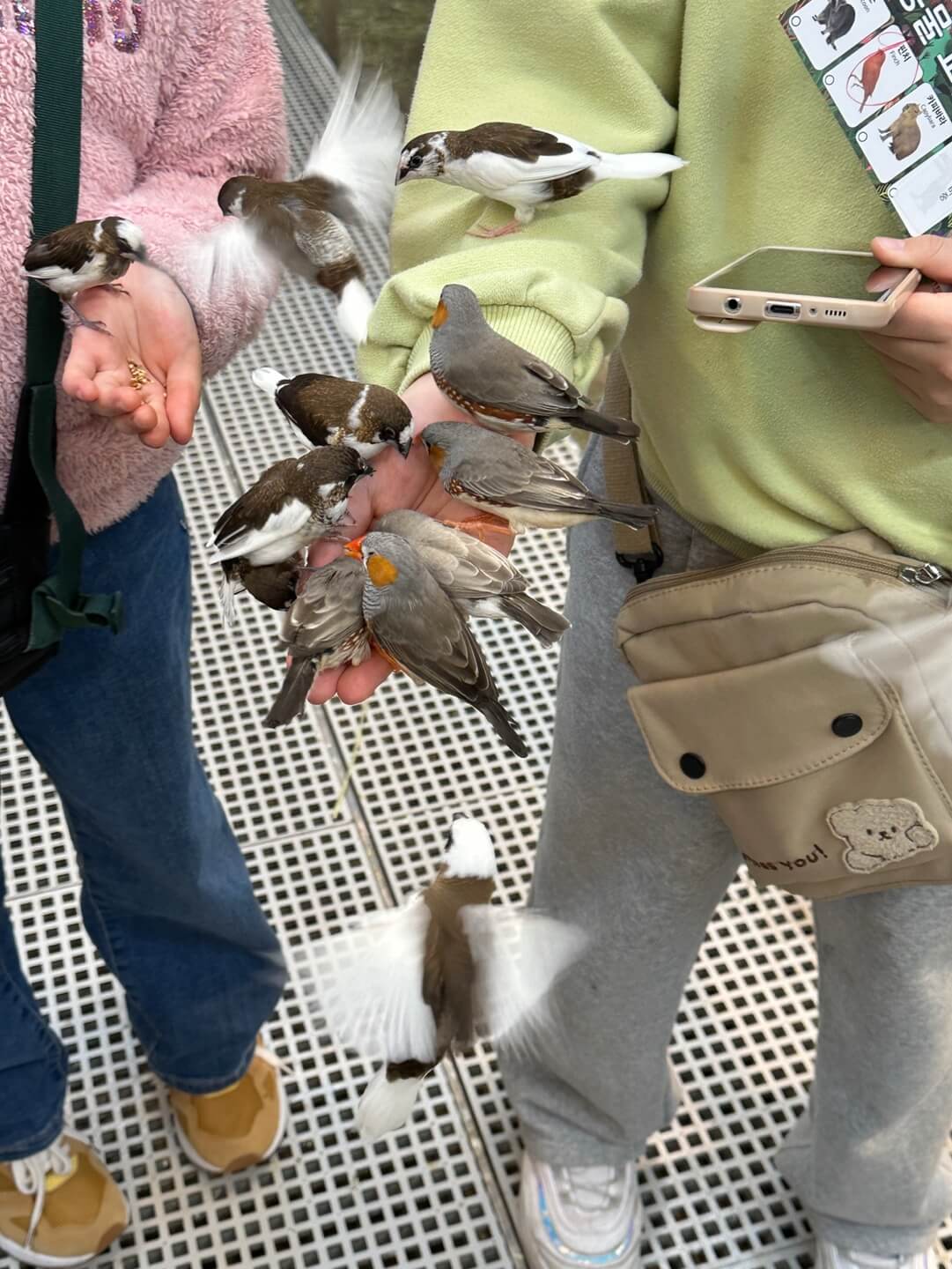 주렁주렁 동탄점 앵무새 손 위 체험 모습